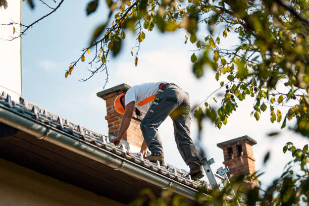 Best Storm Damage Roof Repair  in The Villages, FL