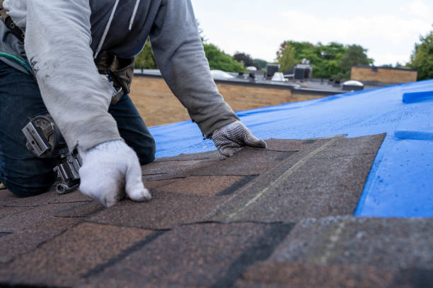 Best Tile Roofing Contractor  in The Villages, FL