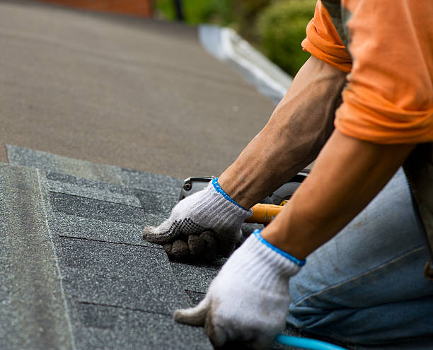 Best Roof Gutter Cleaning  in The Villages, FL